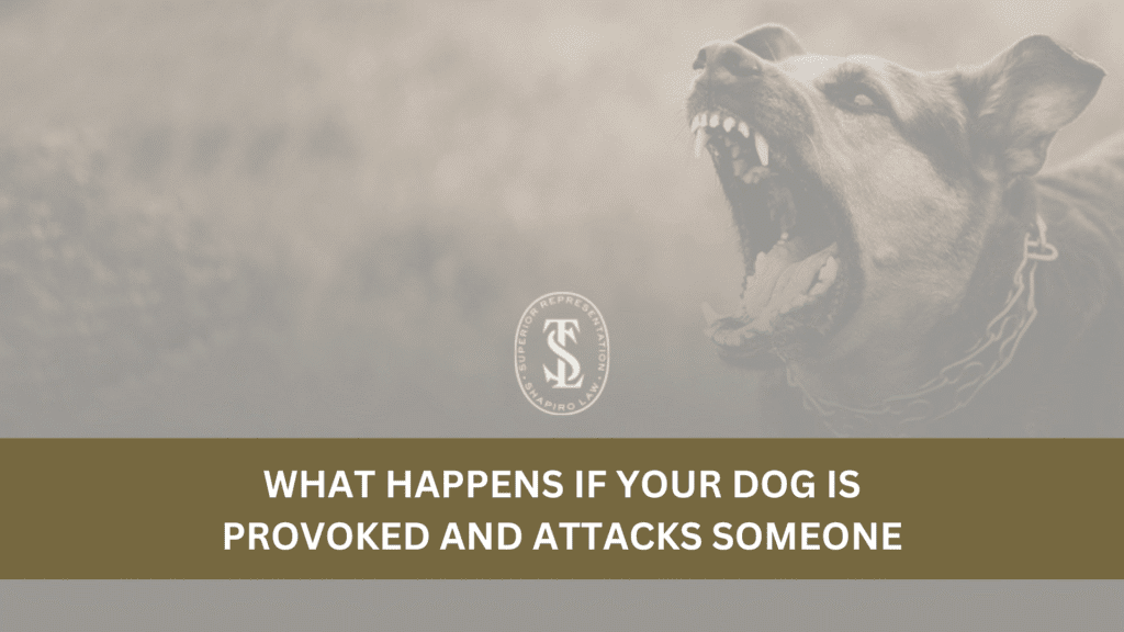 What Happens if Your Dog Is Provoked