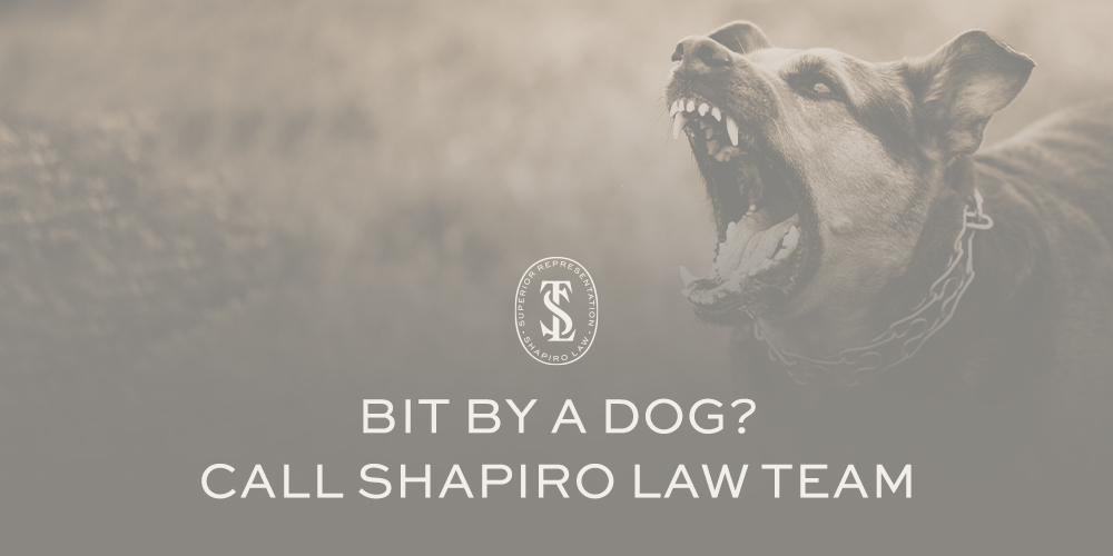 Dog Bite Attorneys in Santa Fe